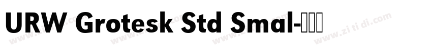 URW Grotesk Std Smal字体转换